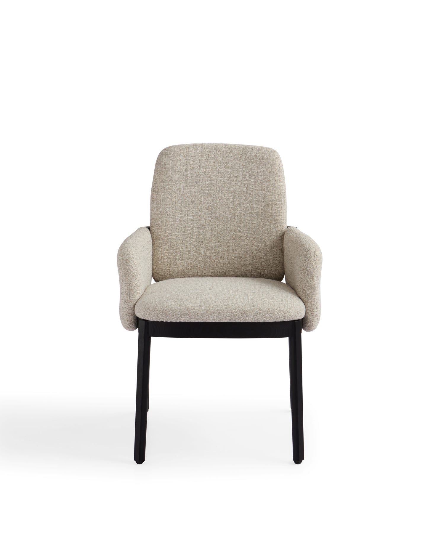 Modern Oak Veneer Dining Chair