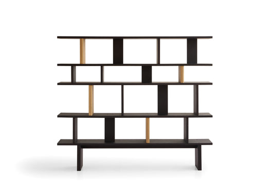 Contemporary Bookshelf