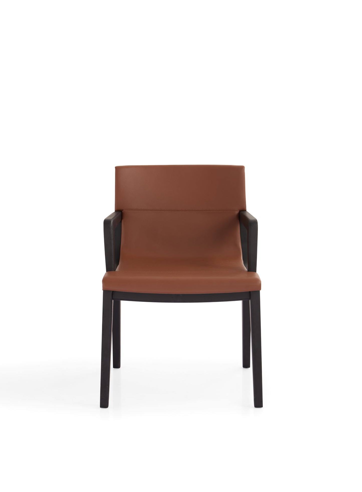 Modern Arm Dining Chair