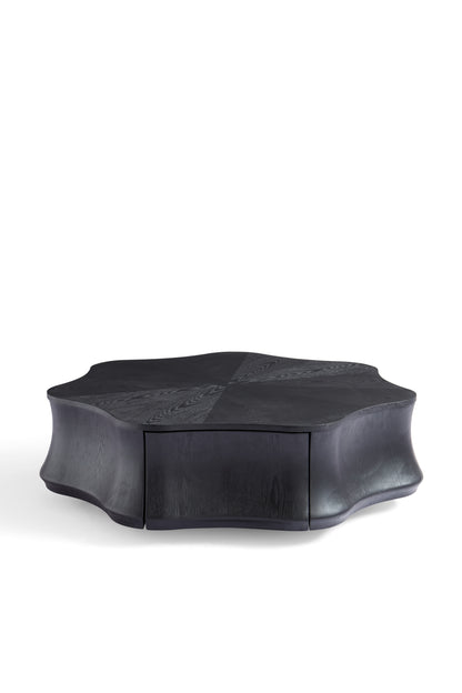 Modern Ash Wood Armchair in Matte Finish