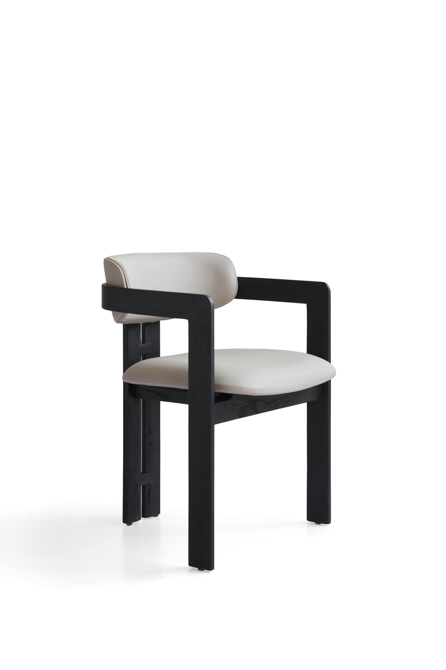 Modern Dining Chair in Matte Black Finish