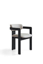 Modern Dining Chair in Matte Black Finish