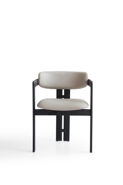 Modern Dining Chair in Matte Black Finish