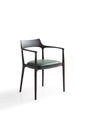 Modern Matte Black Dining Chair with White Ash Wood Frame